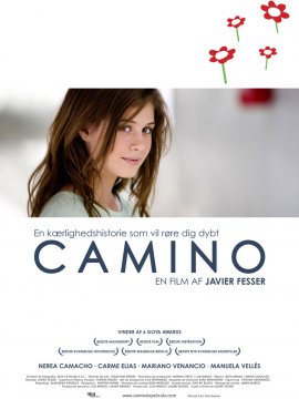 Read more about the article Camino