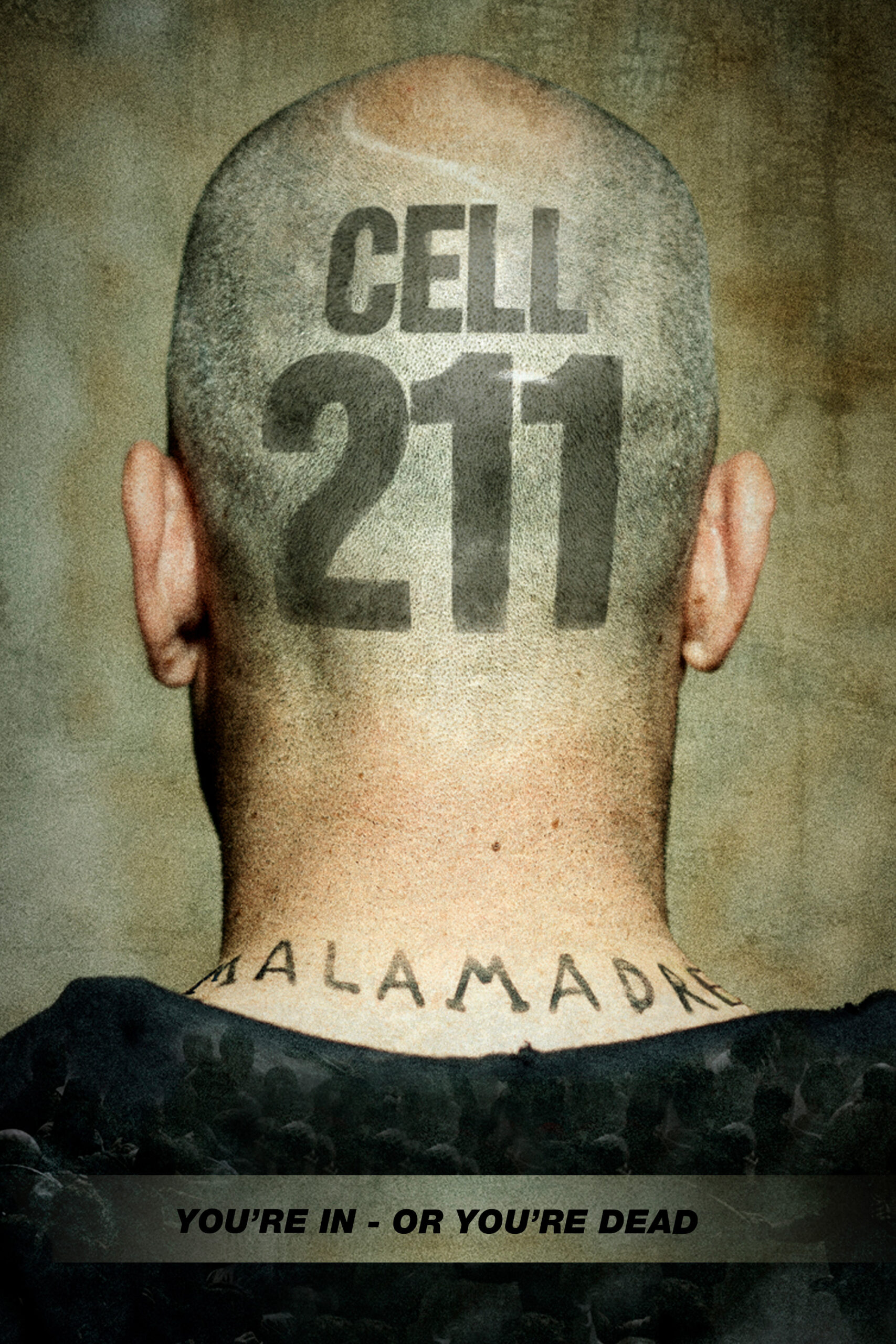 Read more about the article Cell 211