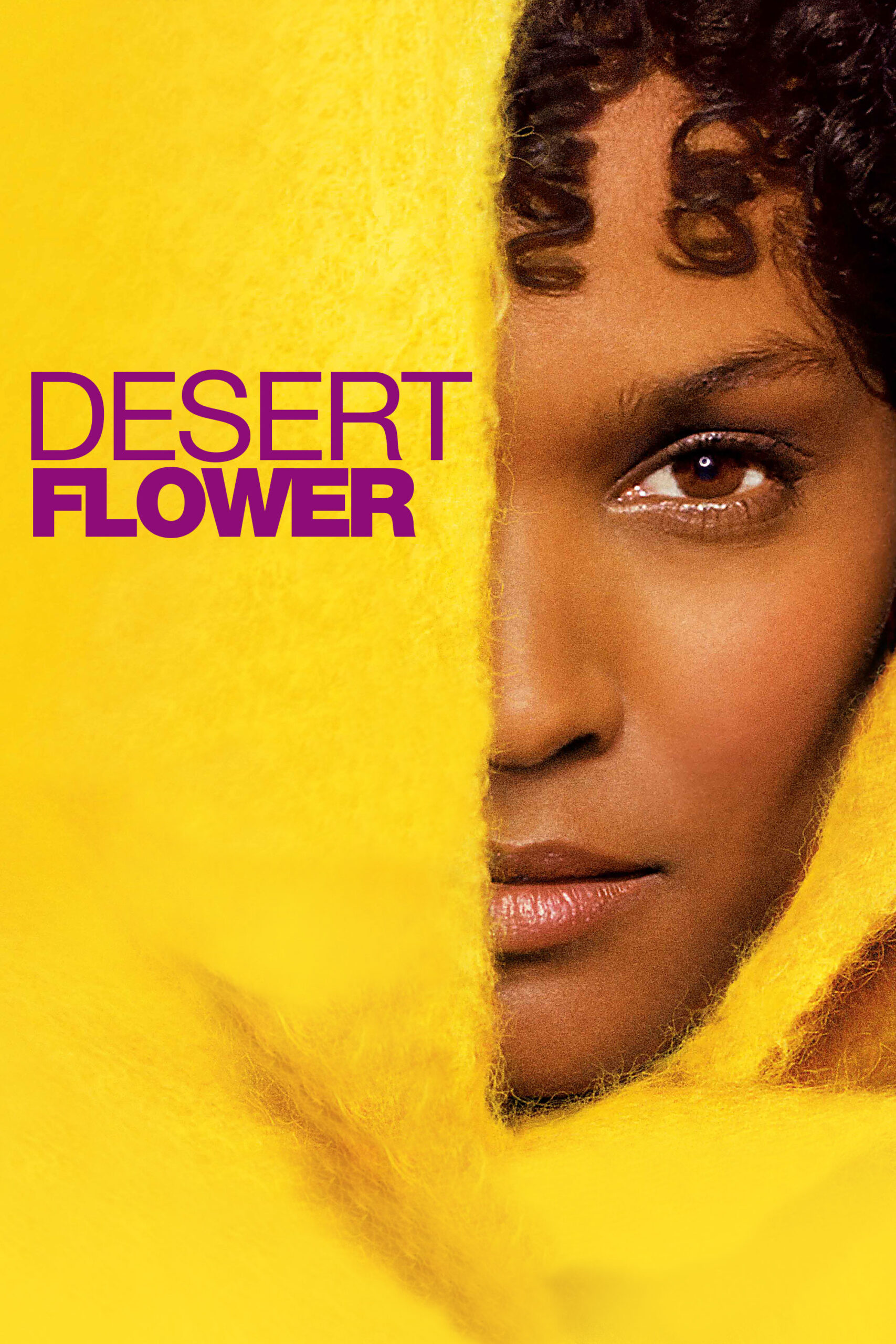 Read more about the article Desert Flower