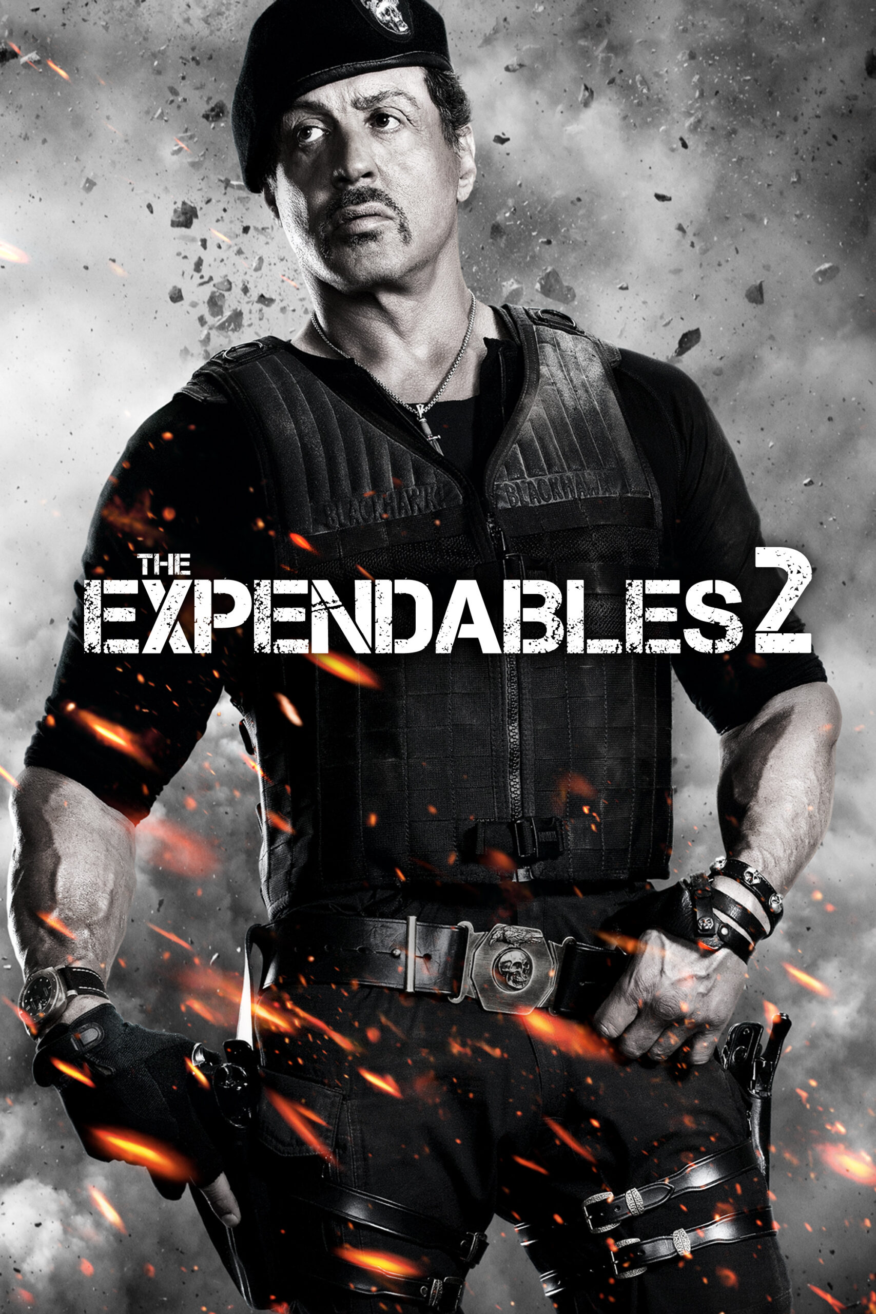 Read more about the article The Expendables 2