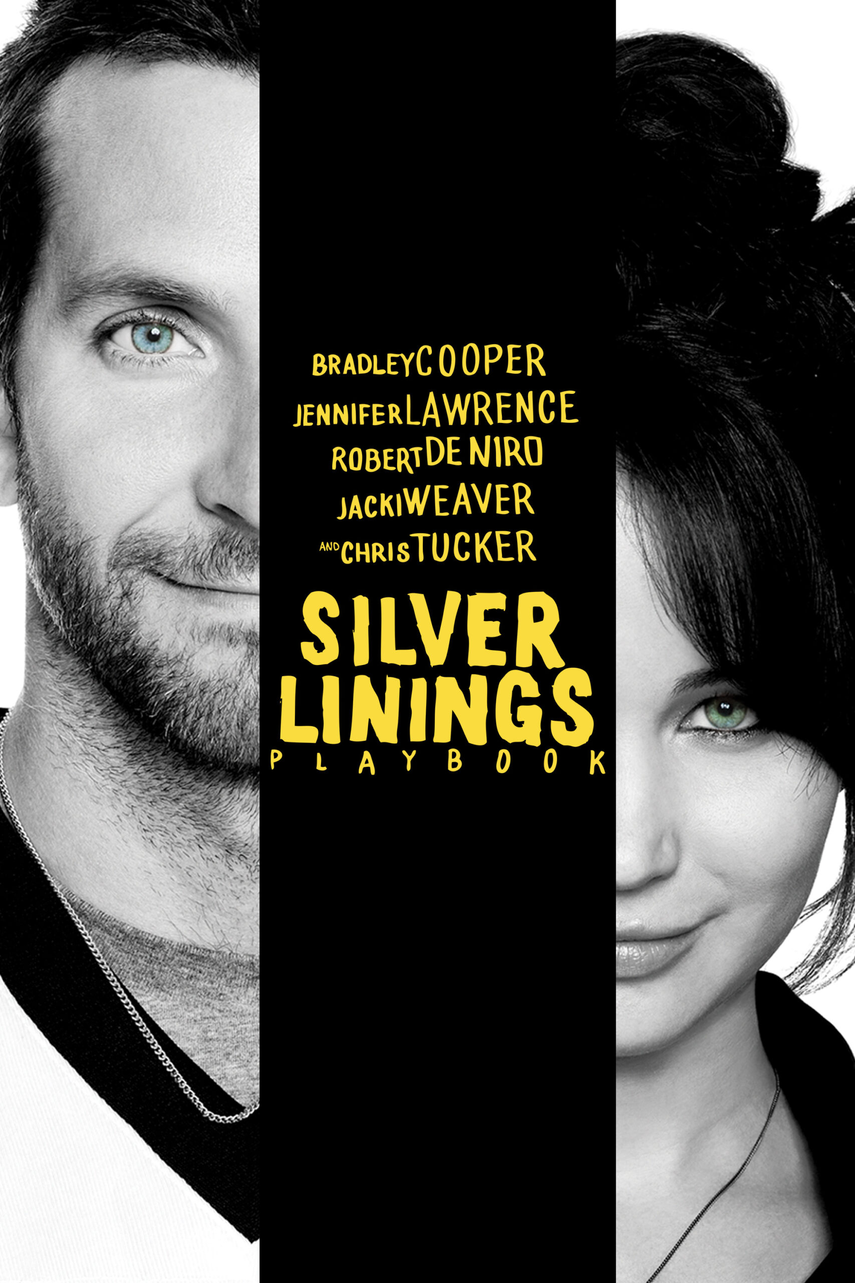 Read more about the article Silver Linings Playbook