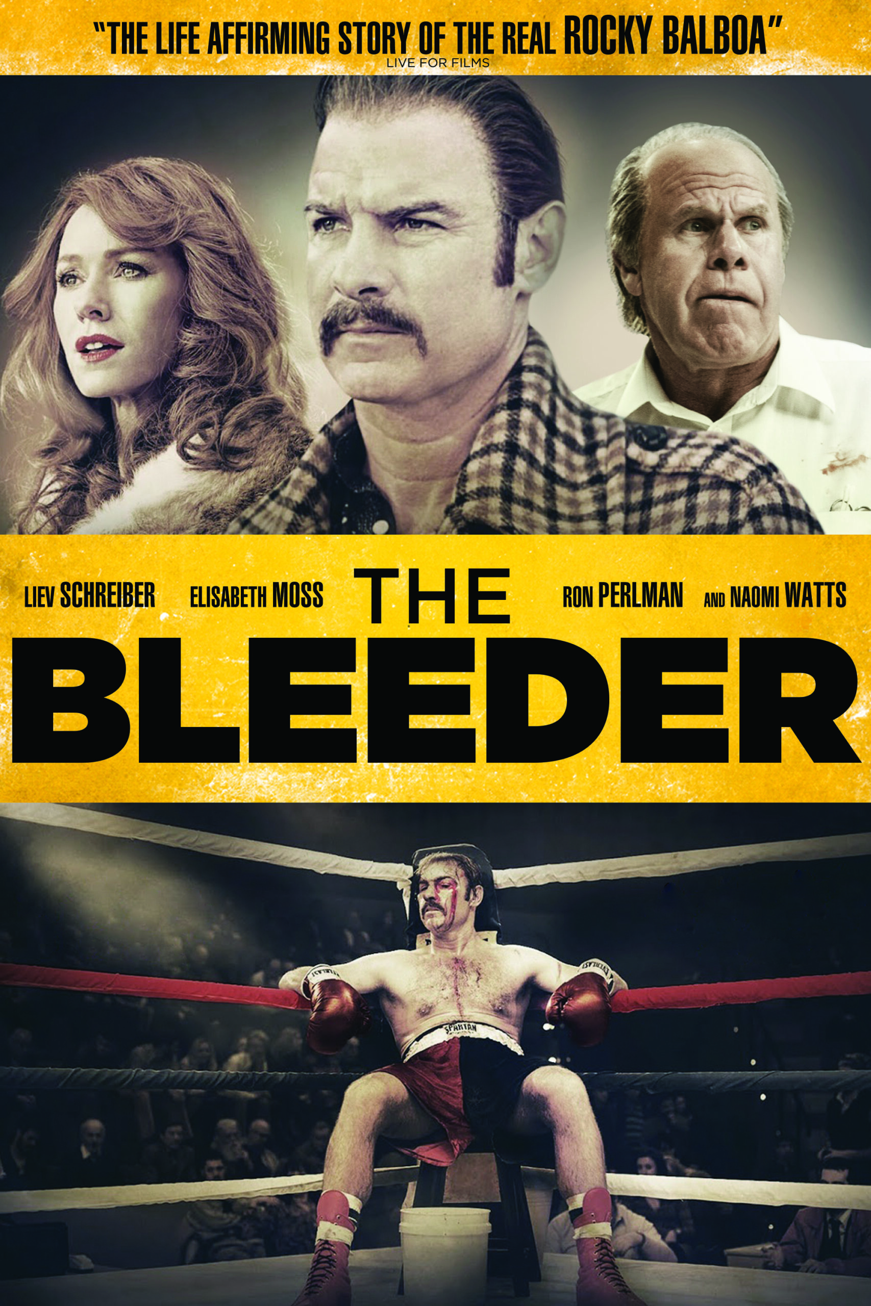 Read more about the article The Bleeder