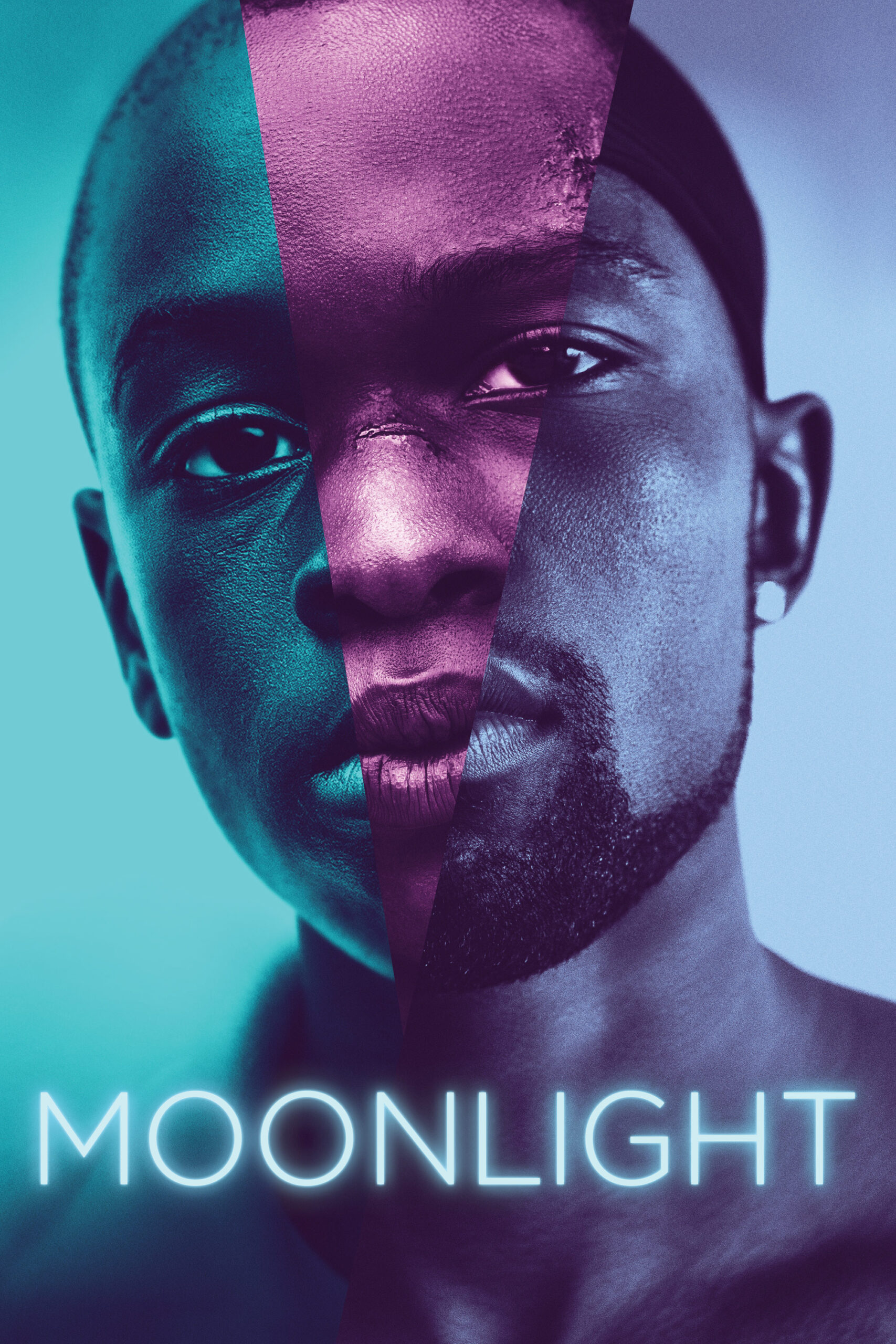 Read more about the article Moonlight