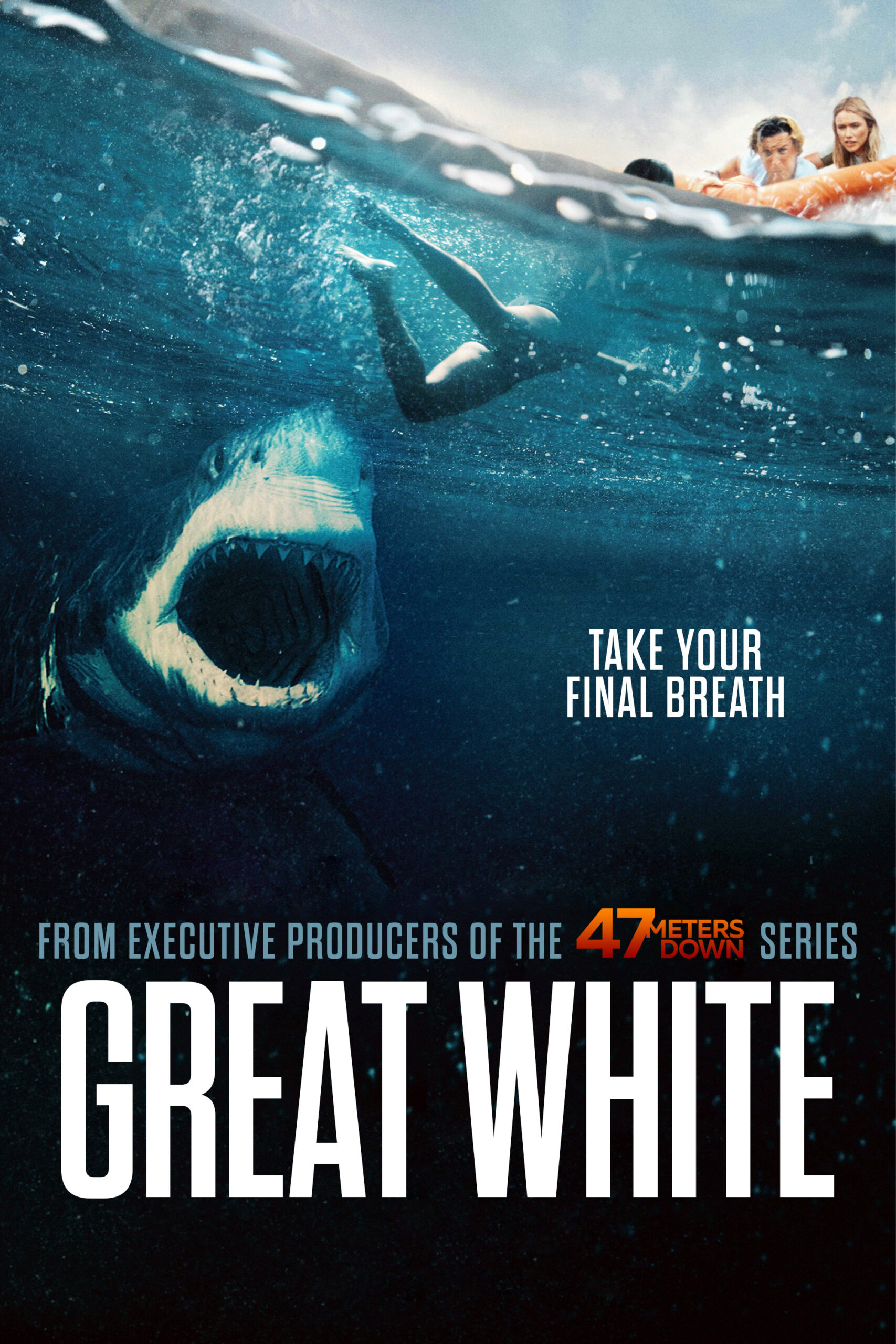 Read more about the article Great White