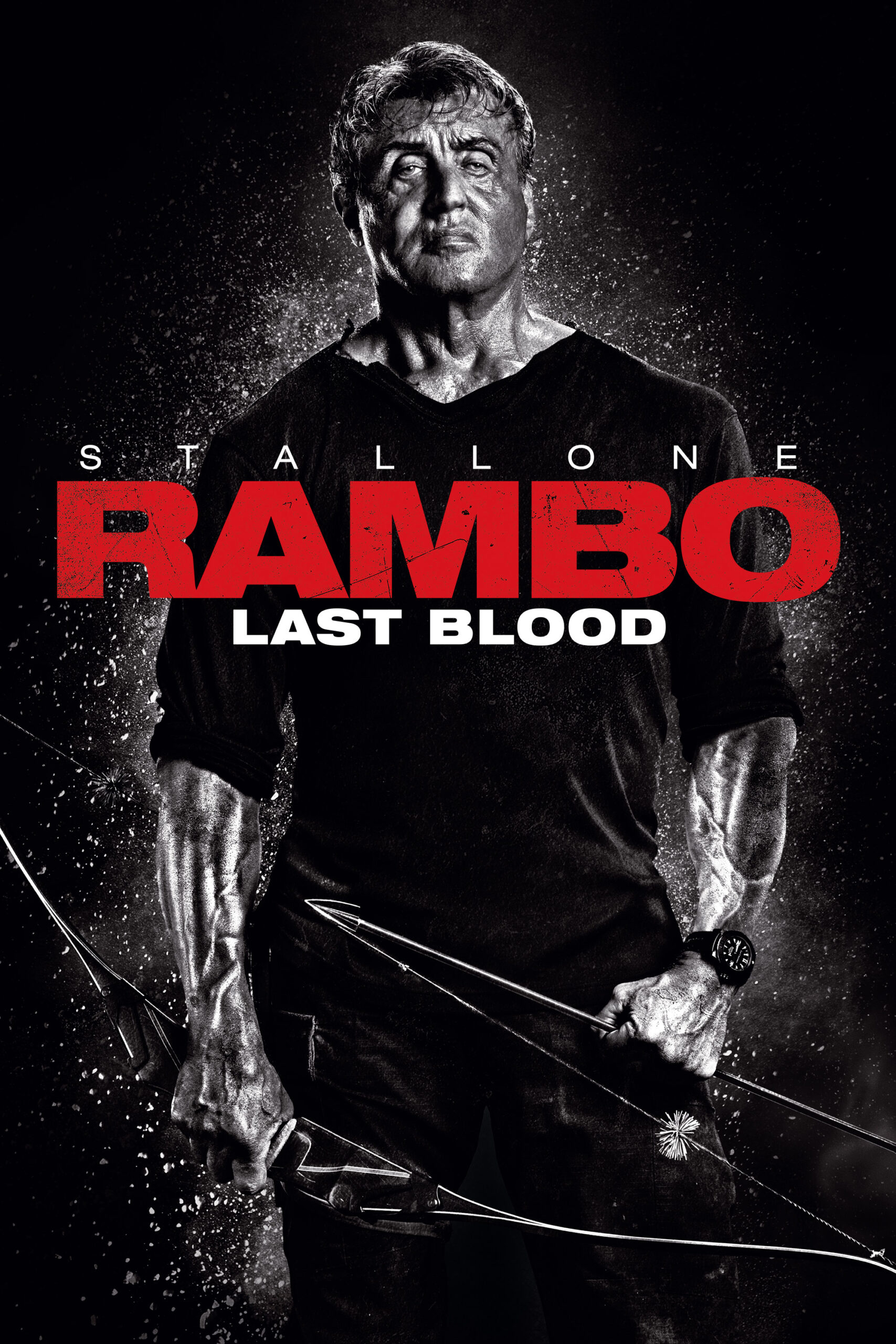 Read more about the article Rambo: Last Blood