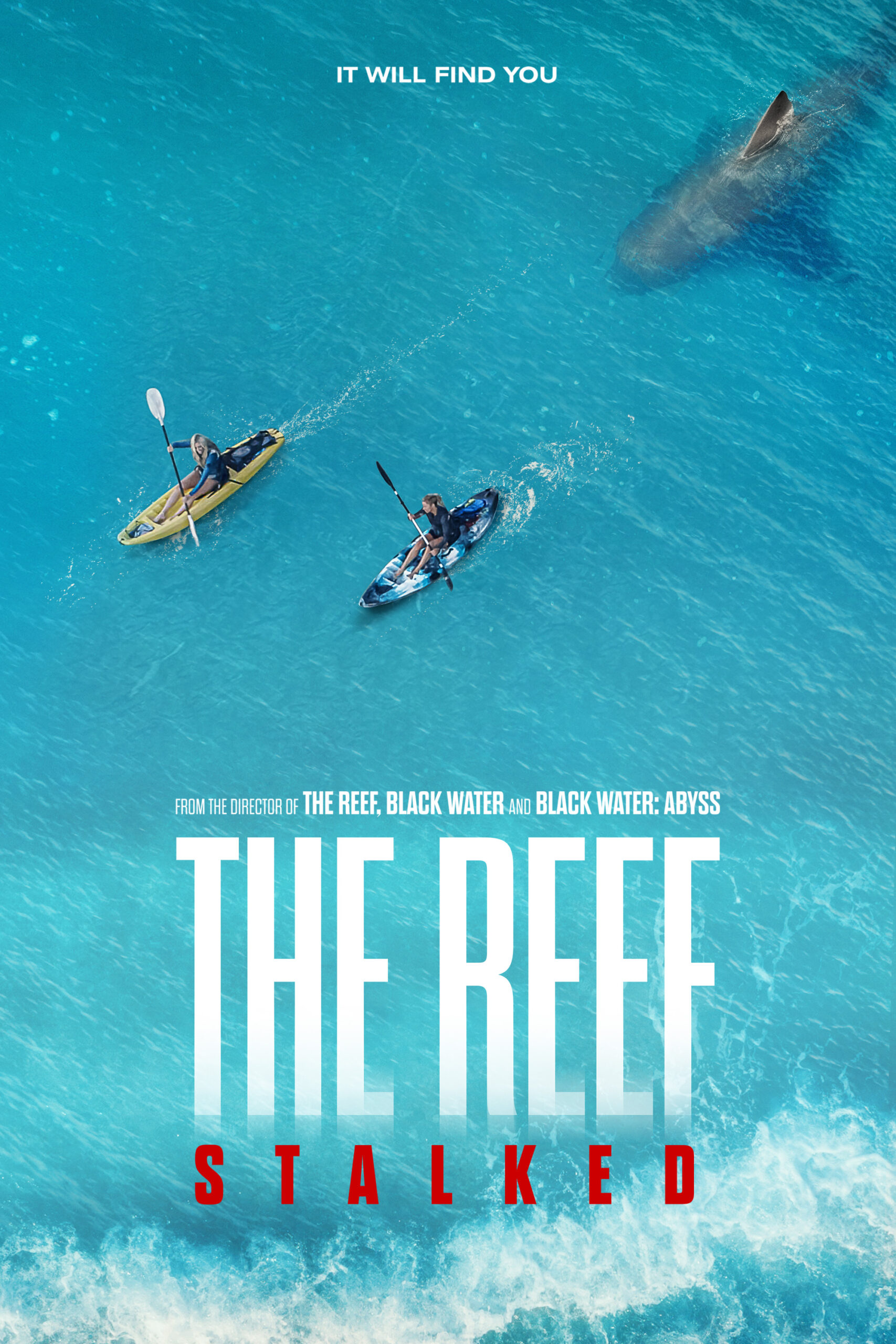 Read more about the article The Reef: Stalked