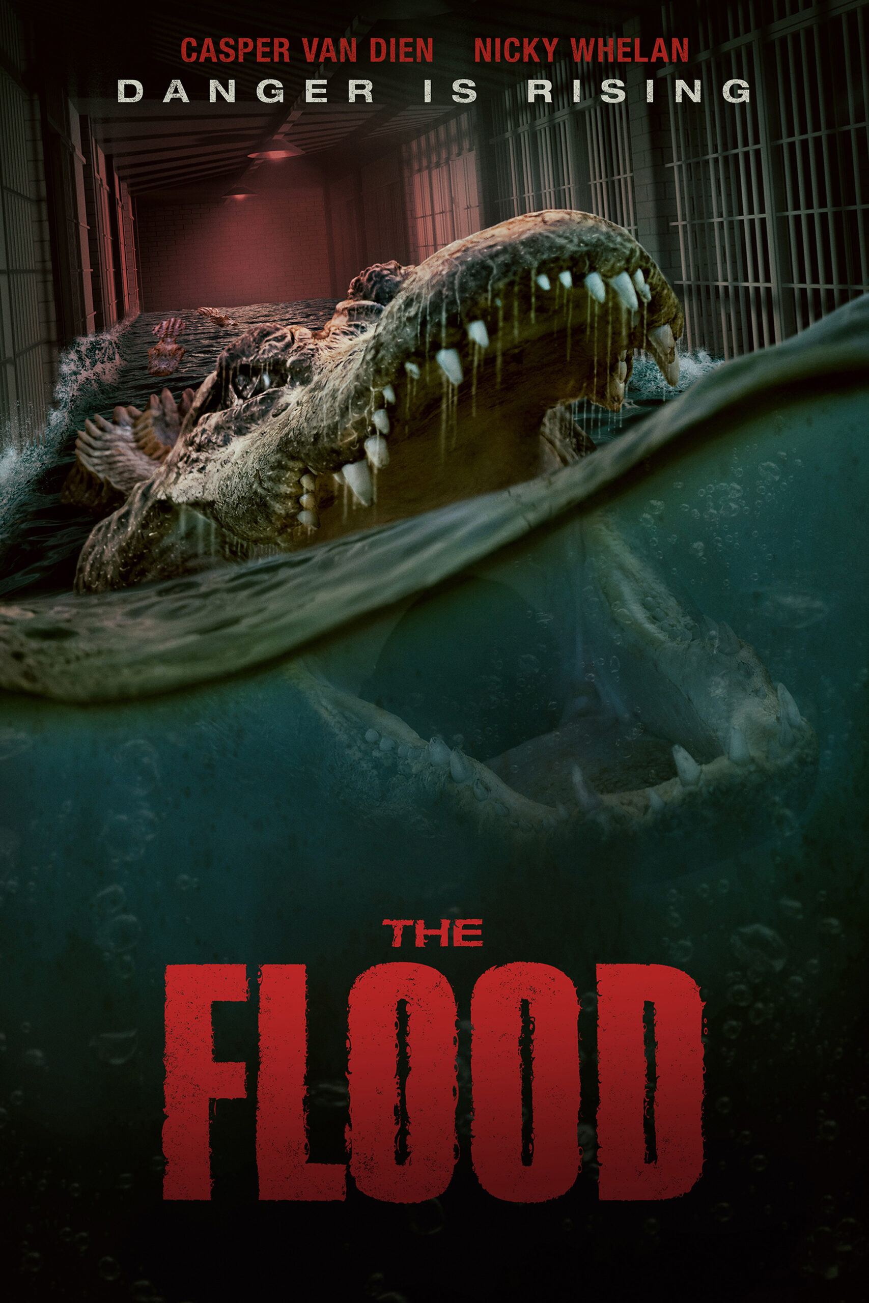 Read more about the article The Flood