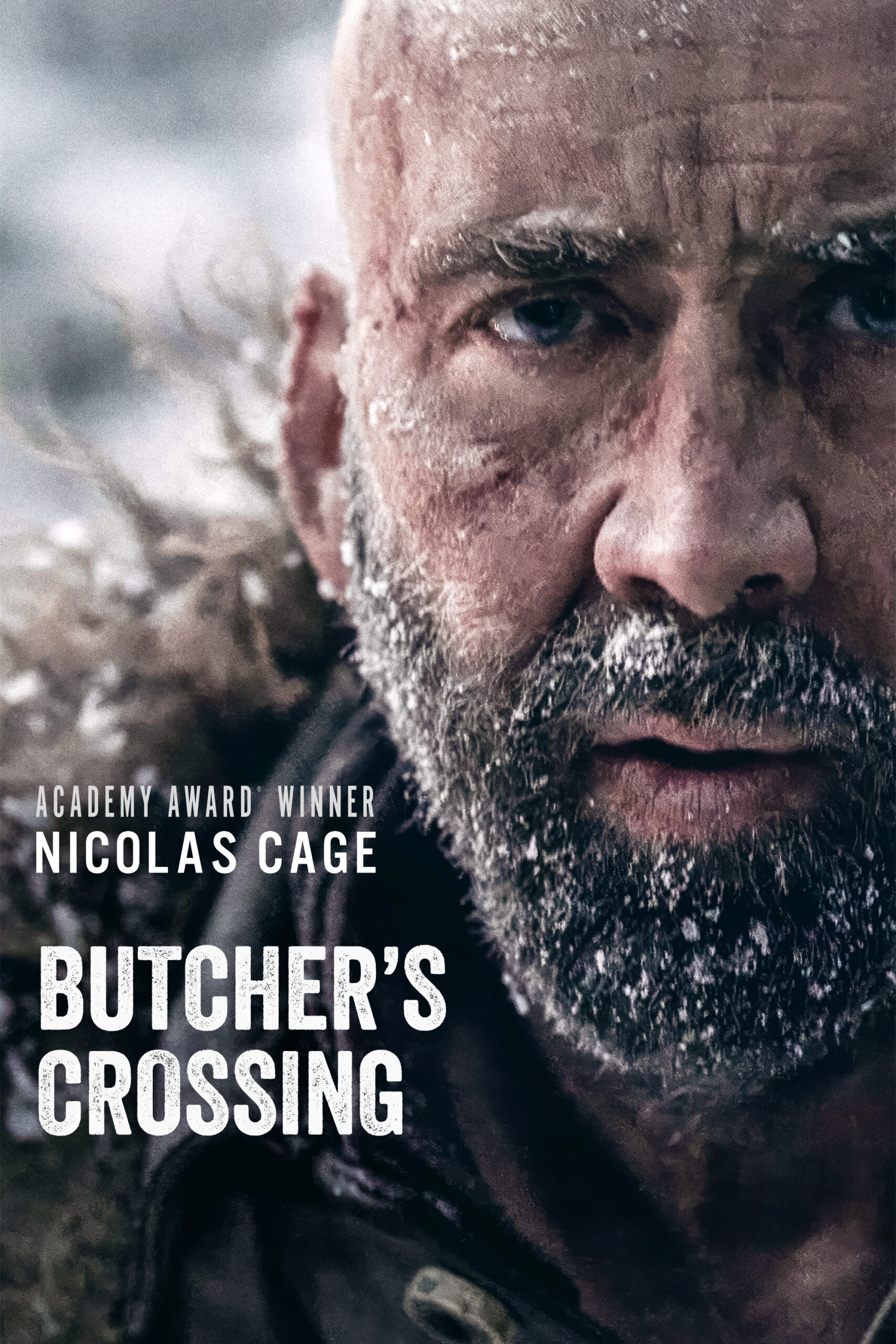 Read more about the article Butcher’s Crossing