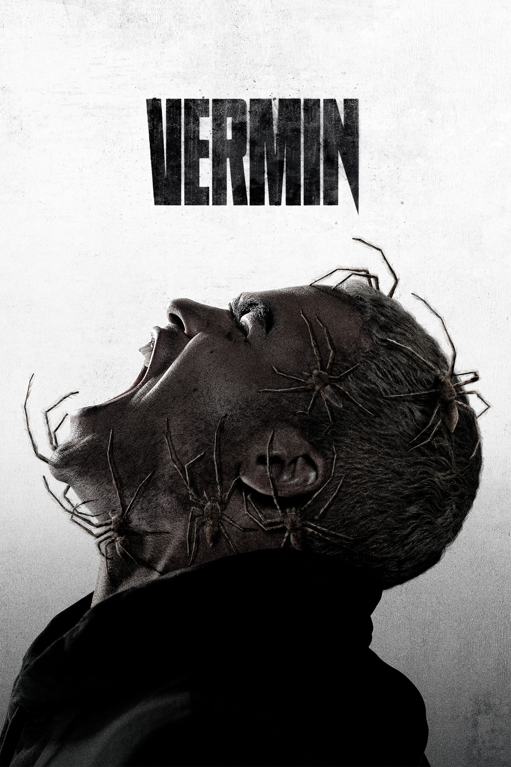 Read more about the article Vermin