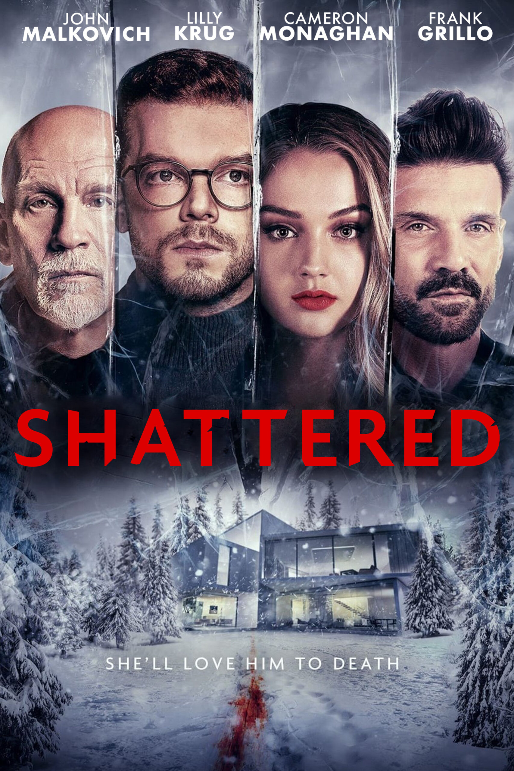 Read more about the article Shattered