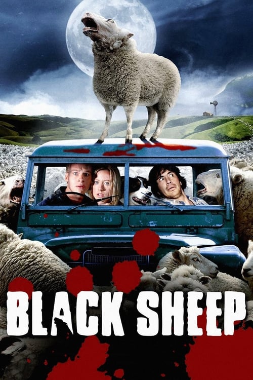 Read more about the article Black Sheep